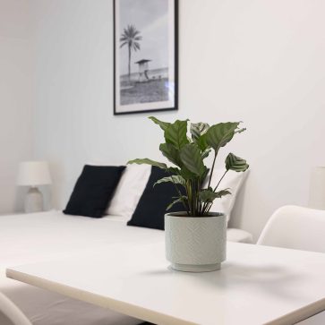 Gallery Herston Place (33)